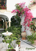 S&eacute;jour enchanteur dans un patio andalou